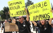 TikTok del INE detona indignación entre actores de doblaje