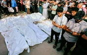 ONU pide investigación independiente de la matanza israelí en las filas de comida en Gaza