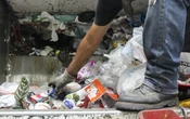 Separar la basura será obligatorio en CDMX; a partir de cuándo y cómo deberás hacerlo