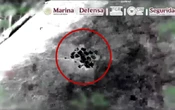 Video | Decomisan casi una tonelada de cocaína en Acapulco, Guerrero