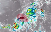 Ciclón Alvin se formará en las próximas horas, confirma el SMN