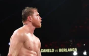 ‘Canelo’ Álvarez busca ante ‘El Indomable’ Scull recuperar su título supermediano