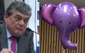INE: La defensa de los acordeones, debate entre un elefante y un dado