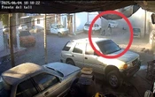 Guardias Nacionales salen proyectados de patrulla a alta velocidad en Tijuana | Video