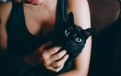 ¿Cómo ayudan los gatos con el estrés y la ansiedad? Aquí te decimos