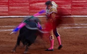 Plaza México se niega a realizar corridas de toros sin violencia