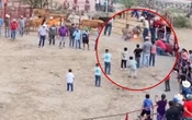 Crueldad animal en Guanajuato: amarran fuegos artificiales a gatos en jaripeo