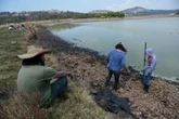 Incrementemos el potencial ecológico con el PLHINO Siglo XXI
