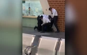 Paciente convulsiona tras ser agredido por guardias; IMSS Colima rescindirá contrato con empresa de seguridad