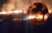 Incendio en Teotihuacán: llamas queman pastizales detrás de la Pirámide de la Luna | Video