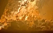 Nave Starship de SpaceX explota durante una prueba en tierra en Starbase | Video