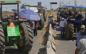 Productores de maíz activan protesta; califican como insulto oferta del gobierno