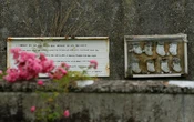 Escándalo en Iglesia irlandesa: Inician excavación de fosa común con casi 800 bebés