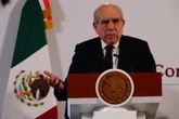 Presentan Comisión Presidencial para la Reforma Electoral y ofrecen consulta ciudadana