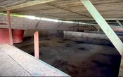 Animales asegurados en Operación Liberación fueron robados mientras estaban a cargo de la FGJEM