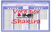 INE considera válidos los votos de protesta como el ‘Voto por Shakira’: Alcocer
