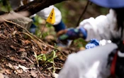 En casi todo el país hay un incremento en el número de desaparecidos: IMDHD