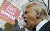 Jueza declara ilegal la suspensión de fondos de investigación de Trump a Harvard