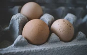 ¿Cuánto tiempo puedes guardar huevos crudos, cocidos o en omelet en el refri sin riesgo de intoxicación?