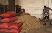 Incertidumbre arancelaria ya provoca “inflación de alimentos” en México: FIDA de la ONU