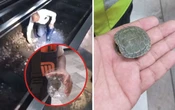 Rescatan a tortuga atrapada en las vías de la Línea 2 del Metro