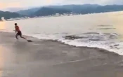 Adolescente logra escapar de cocodrilo en Puerto Vallarta