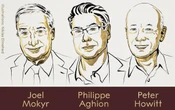 Mokyr, Aghion y Howitt ganan el Nobel de Economía 2025 por sus aportes al estudio del crecimiento sostenido