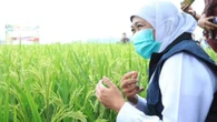 Positif COVID-19 Lagi, Gubernur Khofifah: Antibodi Saya Tinggi
