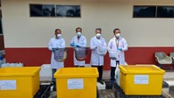 Terdeteksi Bawa Virus, Ratusan Ikan Koi Asal Jepang Dimusnahkan