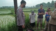 Geger, Jasad Bayi Ditemukan di Lokasi Pembuangan Sampah