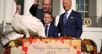 The White House's history with Thanksgiving, and how the turkey pardon came to be