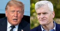 Trump's luncheon with GOP senators devolves into shouting match