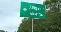 Detainees moved out of "Alligator Alcatraz" over hurricane concerns, ICE says