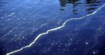 Reflecting Pool liner was cut with knife or razor, parks official says