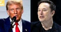 Trump proposes placing Elon Musk in charge of a government efficiency commission