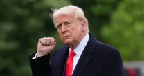 Trump's pardons include array of white-collar criminals