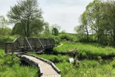 Macricostas Preserve might just be the state’s best hike