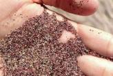 This CT beach has pink sand. Here’s why.