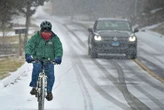 E-bikes under CT holiday trees are likely given program's success