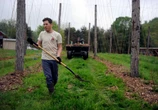 These CT breweries are recognized for sustainability by green initiative