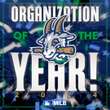 Hartford Yard Goats named Minor League Baseball Organization of the Year