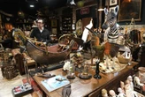 ‘Oddities’ co-host opens Bridgeport shop filled with rare curiosities