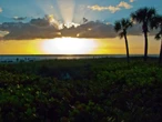 Mike Daly (opinion): Florida offers respite from winter, but not politics