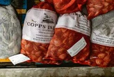 Vibrio cases not linked to CT shellfish: Dept. of Agriculture