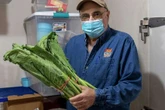 Beardsley Zoo chef talks about meal prepping for critters