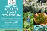 Invasive Plant Symposium to be held virtually Nov. 3