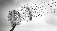 Susan Campbell (opinion): Fractured families make their own rules for grieving