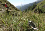 Joe Pisani (opinion): Is my cell phone lost, or am I?