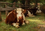 Old Lyme museum showcases 'Cow Tales' and landscape art exhibits this summer