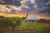 Dine alfresco at a Connecticut farm-to-table dinner this summer